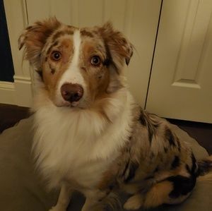 Meet your Posher, Joelle